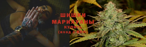 кокс Арсеньев