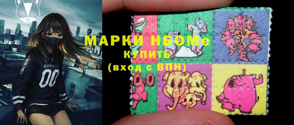 хмурый Алексин