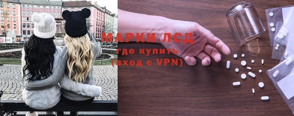 PSILOCYBIN Аркадак
