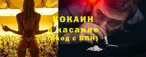 кокс Арсеньев