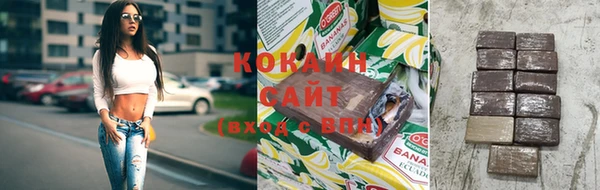PSILOCYBIN Аркадак